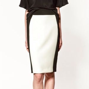 NWOT Zara Two-Toned Skirt